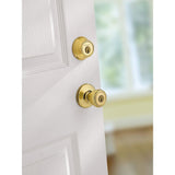 Tylo Polished Brass Entry Door Knob and Double Cylinder Deadbolt Combo Pack with Microban Antimicrobial Technology - Super Arbor