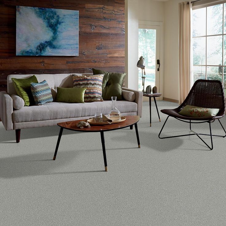 STAINMASTER PetProtect Baxter II Roscoe Textured Carpet (Indoor)