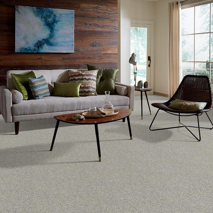 STAINMASTER PetProtect Baxter I Trixie Textured Carpet (Indoor)