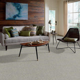 STAINMASTER PetProtect Baxter I Trixie Textured Carpet (Indoor)