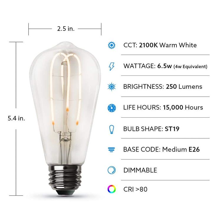 Feit Electric 40-Watt Equivalent ST19 Clear Glass Vintage Edison LED Light Bulb with M Shape Filament Warm White (12-Pack)