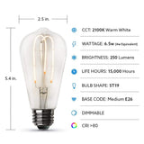 Feit Electric 40-Watt Equivalent ST19 Clear Glass Vintage Edison LED Light Bulb with M Shape Filament Warm White (12-Pack)