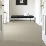 STAINMASTER PetProtect Baxter III Marmaduke Textured Carpet (Indoor)