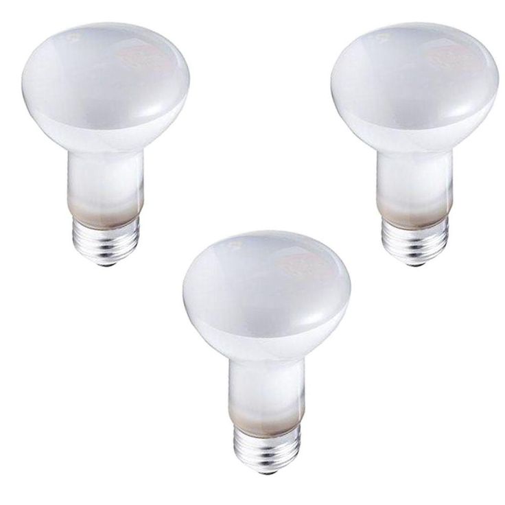 Philips 45-Watt R20 Incandescent DuraMax Dimmable Flood Light Bulb (3-Pack)
