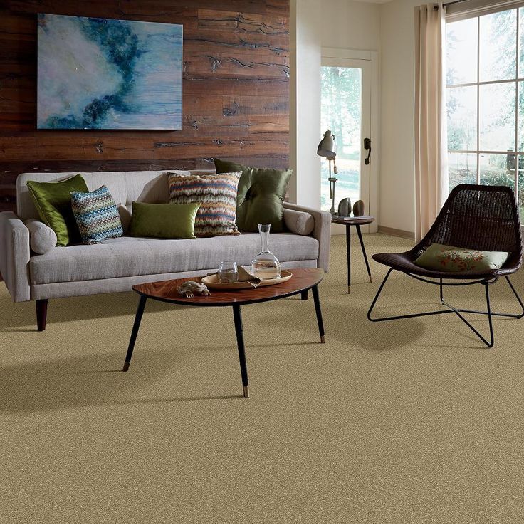 STAINMASTER PetProtect Baxter I Molly Textured Carpet (Indoor)