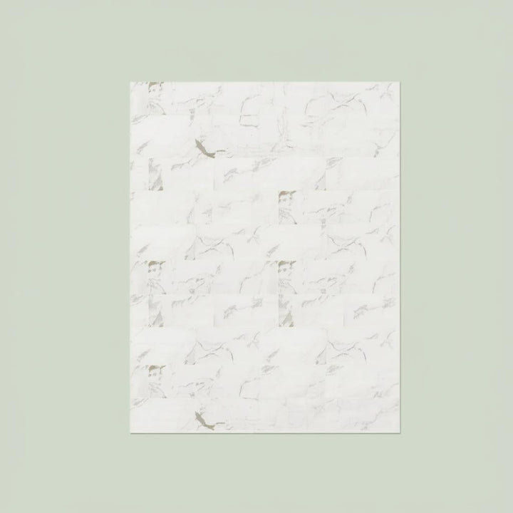 Home Decorators Collection Carrara Polished Porcelain Tile - 12x24
