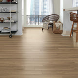 Home Decorators Collection Benston Oak Waterproof Luxury Vinyl Plank Flooring