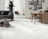 Home Decorators Collection Carrara Polished Porcelain Tile 24x48