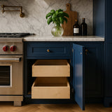 Home Decorators Collection Newport Mythic Blue Kitchen Cabinet