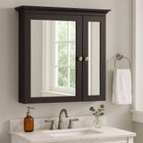 Home Decorators Collection Fog-Free Medicine Cabinet in Java