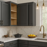 Home Decorators Collection Grayson 18 in. W x 12 in. D x 30 in. H Assembled Plywood Wall Kitchen Cabinet in Deep Onyx with Soft Close