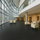 Armstrong Flooring Safety Zone VCT Slate Black 12-in x 12-in Commercial Vinyl Tile Flooring
