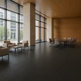 Armstrong Flooring Safety Zone VCT Slate Black 12-in x 12-in Commercial Vinyl Tile Flooring