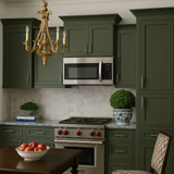 Hampton Bay Avondale 24 in. W x 12 in. D x 36 in. H Plywood Shaker Wall Kitchen Cabinet in Fern Green