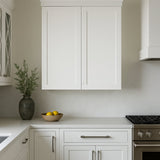 Plywell Shaker Double Door Wall Cabinet, 36x42x12 in, White