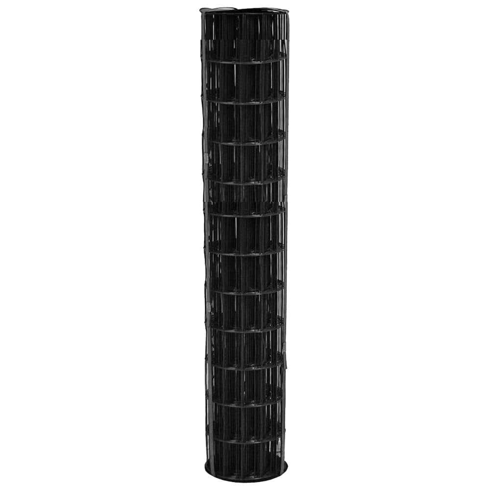allFENZ 3 ft. x 50 ft. 16-Gauge Black PVC-Coated Welded Wire