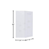 LIFEART CABINETRY Anchester White Plywood Shaker Stock Assembled Wall Corner Kitchen Cabinet (24 in. W x 36 in. H x 15 in. D)
