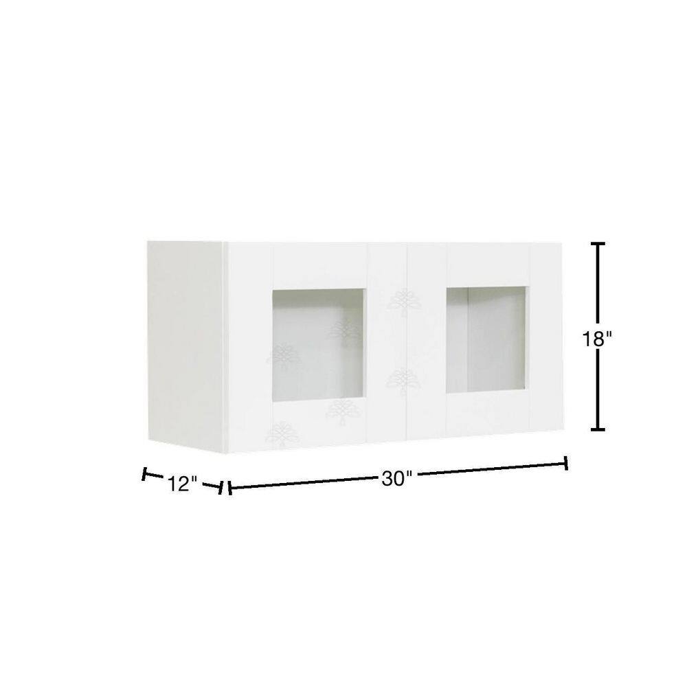 LIFEART CABINETRY Anchester Assembled 30 in. x 18 in. x 12 in. Wall Mullion Door Cabinet with 2-Doors in White