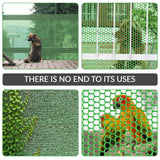 Angel Sar 15.7 in. x 10 ft. Plastic Chicken Wire Fence Mesh, Hexagonal Fencing Poultry Netting for Coop Farm Garden Green