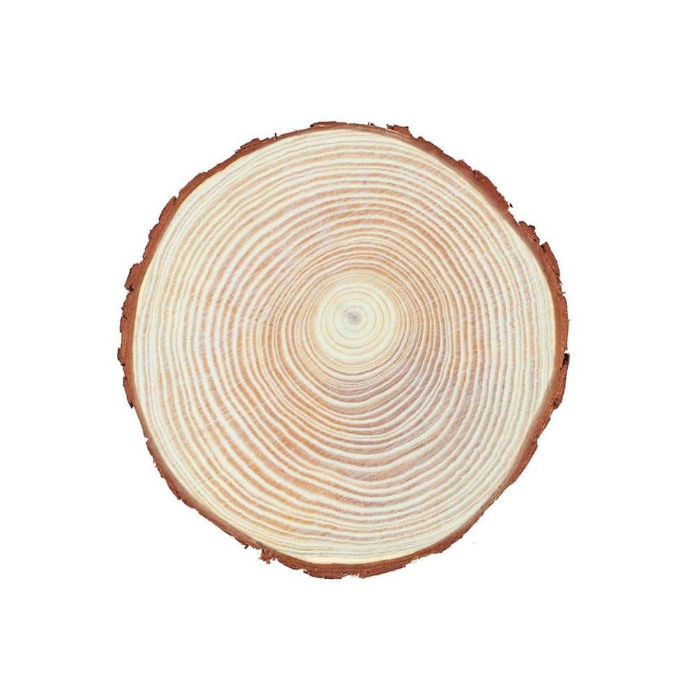 Angel Sar 5.1-5.5 in. Unfinished Wood Slices for Centerpieces with Tree Bark for Crafts Christmas Ornaments (17-Pack)