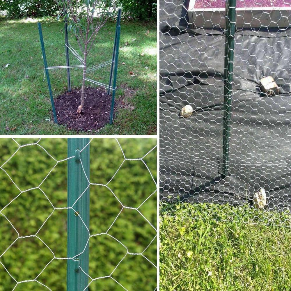 Angel Sar 60 in. x 1.2 in. x 1.2 in. Metal Fence Post U Post Green for Garden Wire Fence Steel Garden Post Sign Post (10-Pack)