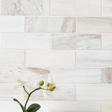 MSI Angora Subway 11.81 in. x 11.81 in. x 10mm Polished Marble Mesh-Mounted Mosaic Tile (9.7 sq. ft. / case)