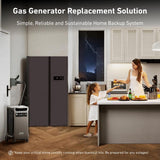 Anker 6000W/9000W Peak Push-Button Start Battery Generator SOLIX F3800 Gas Generator Replacement Solution w/a Transfer Switch