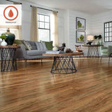 Pergo Outlast+ Applewood 12 mm T x 5.2 in. W Waterproof Laminate Wood Flooring (13.74 sqft/case)