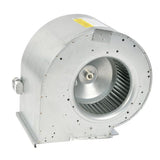 Rheem AS-59050-06 blower motor - detail view (Product Type: Blower Motor)