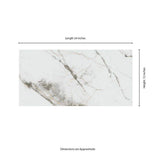 Avalon 12 in. x 24 in. Matte Porcelain Marble Look Floor and Wall Tile (16 sq. ft./Case)