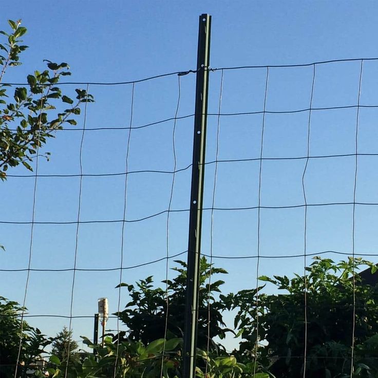 Everbilt 1-1/4 in. x 3/4 in. x 3 ft. 14-Gauge Green Steel U-Fence Post with Anchor Plate