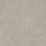 STAINMASTER PetProtect Baxter III Harley Textured Carpet (Indoor)