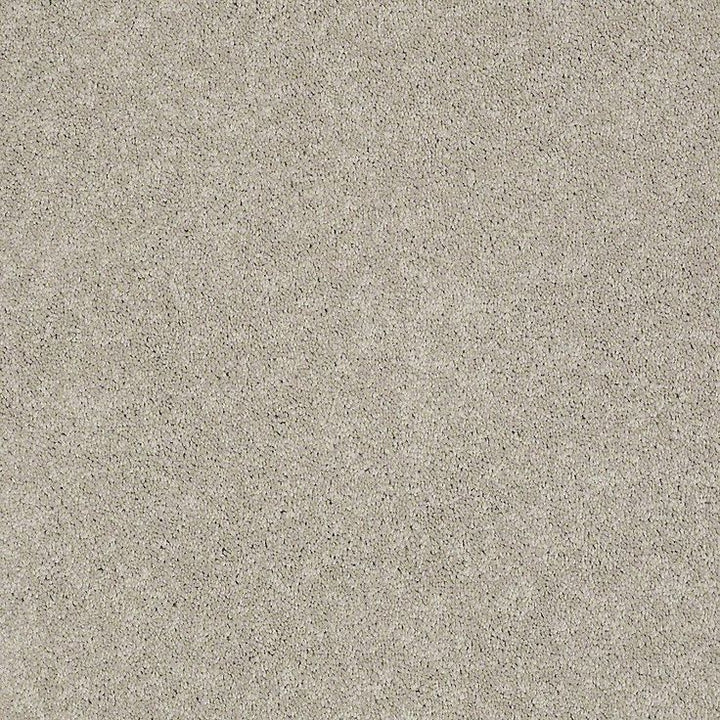 STAINMASTER PetProtect Baxter III Harley Textured Carpet (Indoor)