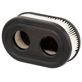 Briggs & Stratton Air Filter