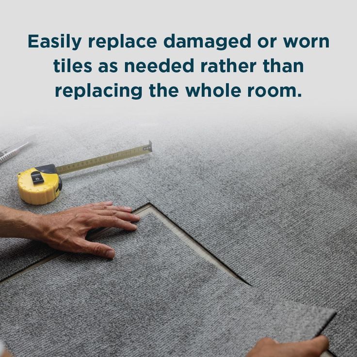 Shaw Go Getter 24-in x 24-in Brilliant Multi-level Loop Full Spread Adhesive Carpet Tile (79.99-sq ft)