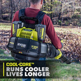RYOBI 40-Volt Lithium-Ion 6 Ah High Capacity Battery
