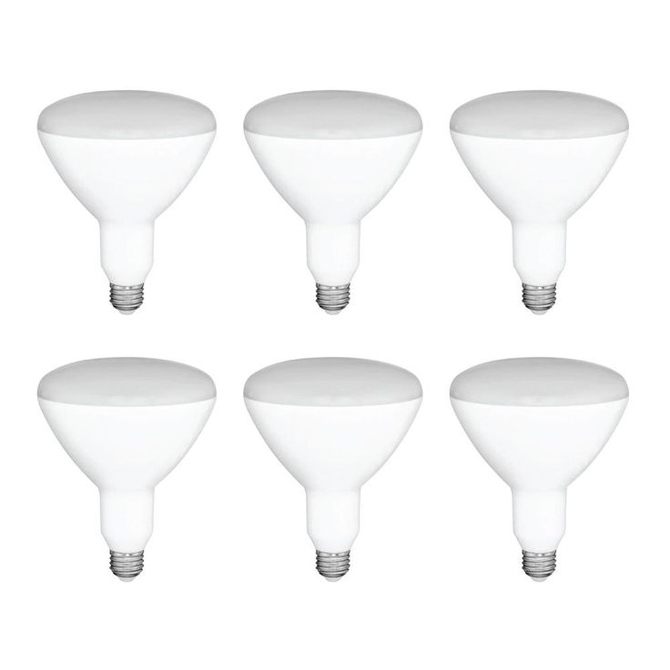 65-Watt Equivalent BR30 Dimmable LED Light Bulb Daylight (6-Pack)