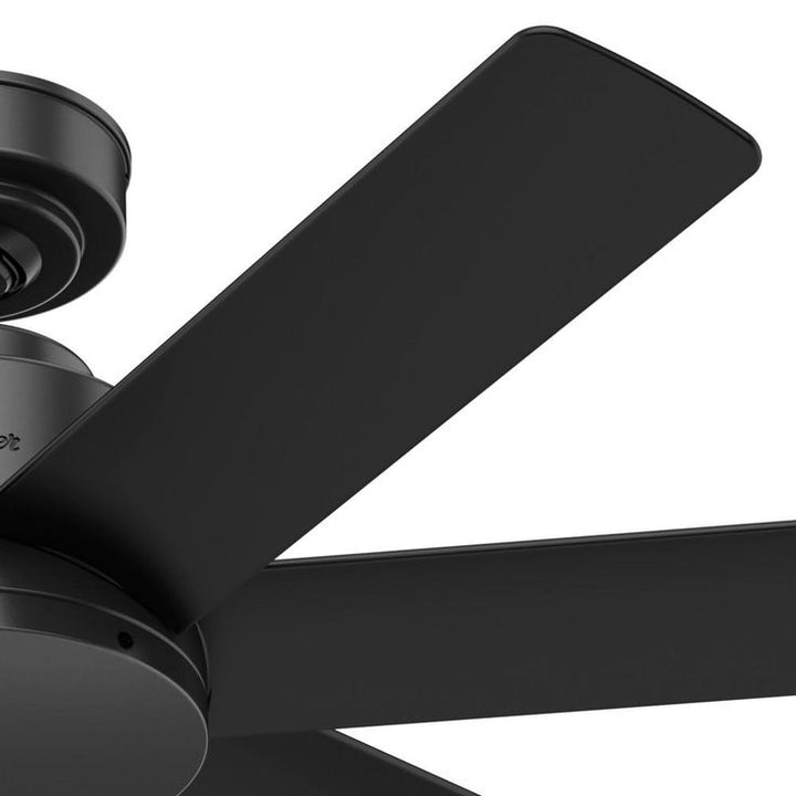 Anchorage 44 in. Indoor/Outdoor Matte Black Ceiling Fan with Wall Control