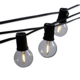 Indoor and Outdoor 50 ft. Black Warm White LED Plug-in String Light, 50-Light Bulbs Included