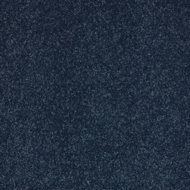 STAINMASTER Essentials Intuition II 12-ft Blue Textured Carpet Sample (Interior)