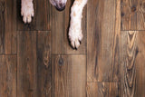 Style Selections Lethbridge Pine 8-in x 48-in Porcelain Wood Look Floor Tile (Common: 8-in x 48-in; Actual: 7.87-in x 47.21-in)