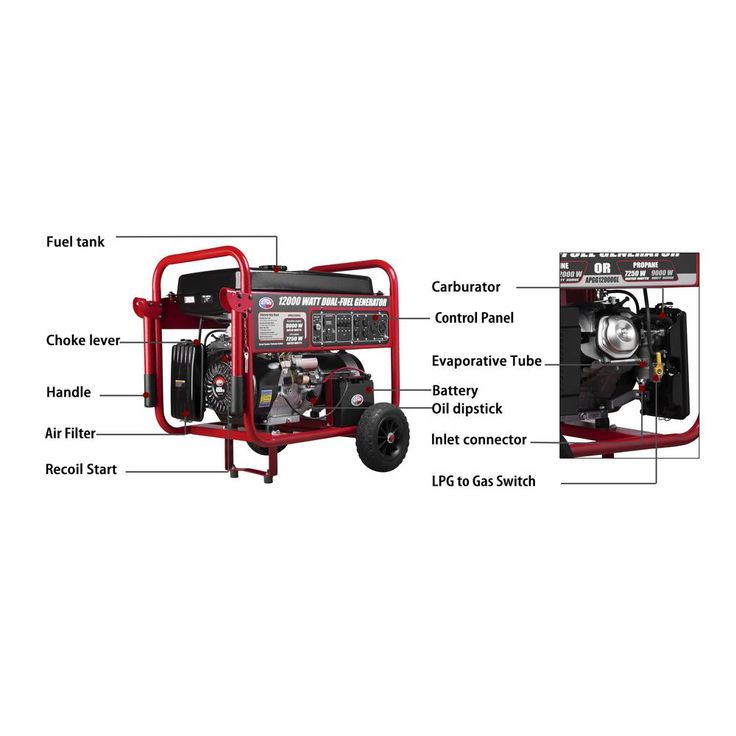 All Power 12,000-Watt Dual Fuel Propane and Gasoline Powered Electric Start Portable Generator