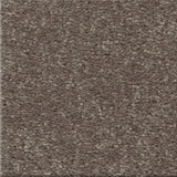 STAINMASTER Essentials Blue Diamonds I 12-ft Pewter Textured Carpet Sample (Interior)