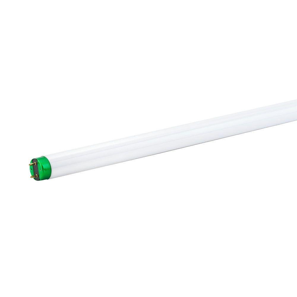 32-Watt 4 ft. Linear T8 Fluorescent Tube Light Bulb Cool White (4100K) (30-Pack) - Super Arbor