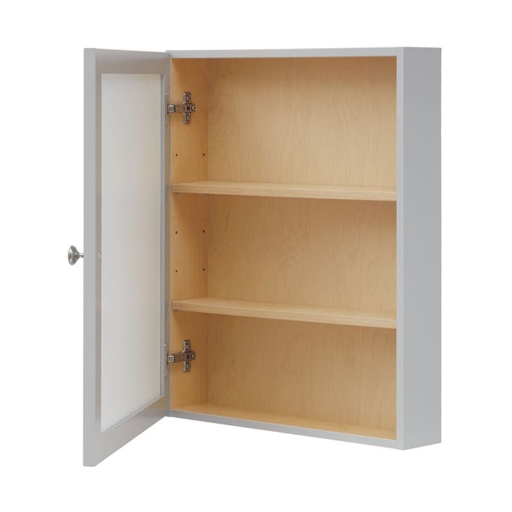 Style Selections 19.5-in x 23.7-in Rectangle Surface Mirrored Medicine Cabinet