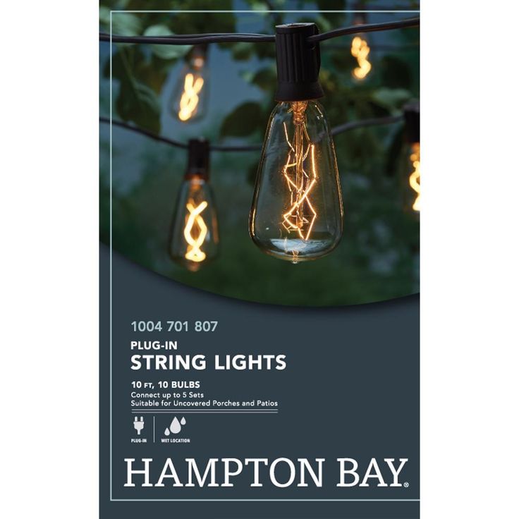 Outdoor/Indoor 10 ft. Light Line Voltage ST40 Vintage Bulb Incandescent String Light (10-Heads)