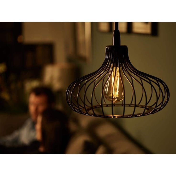 Philips 40-Watt Equivalent ST19 Dimmable Vintage Glass Edison LED Light Bulb Amber Warm White (2000K) (1-Bulb)