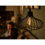 Philips 40-Watt Equivalent ST19 Dimmable Vintage Glass Edison LED Light Bulb Amber Warm White (2000K) (1-Bulb)