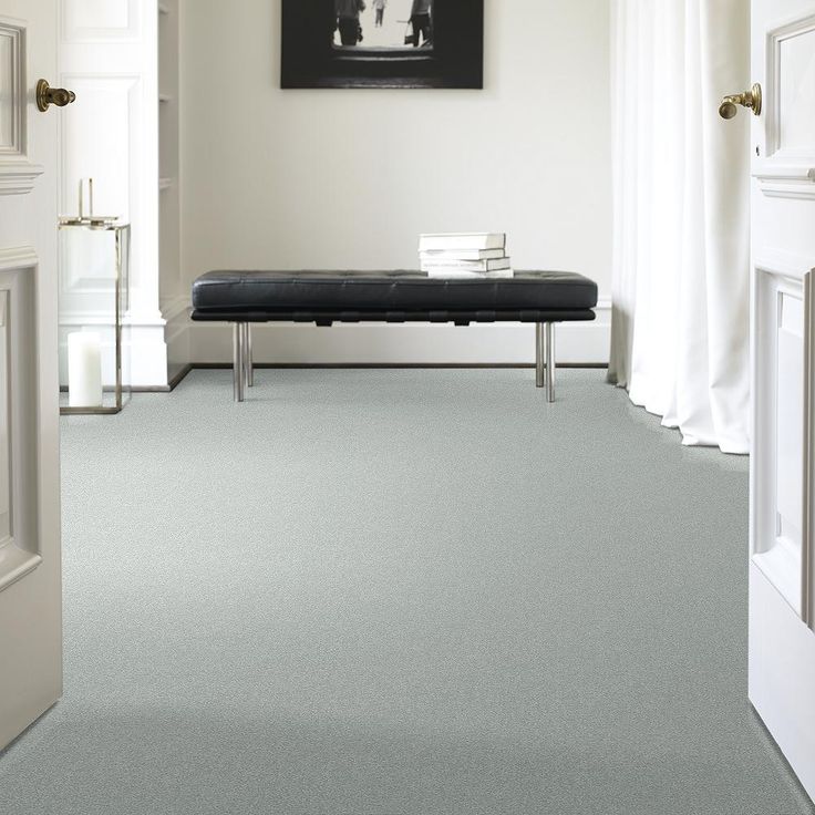 STAINMASTER PetProtect Baxter III Rex Textured Carpet (Indoor)