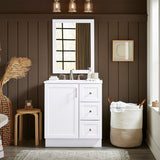 Style Selections Davies 30-in White Single Sink Bathroom Vanity with White Cultured Marble Top (Mirror Included)